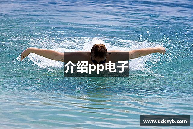 介绍pp电子
